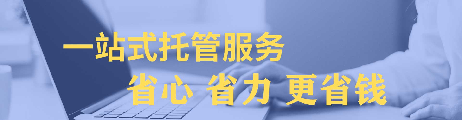 宁强竞价托管